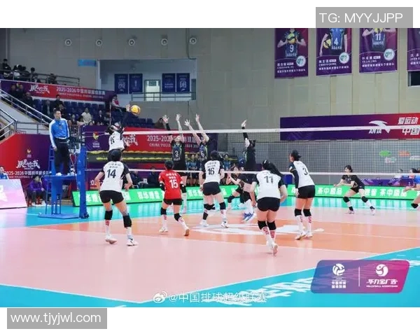 杭州排球队技术实力大幅提升创新高引领排球新风潮